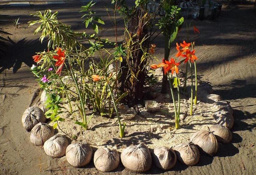 Gustav S Place Silver Beach Dive Resort