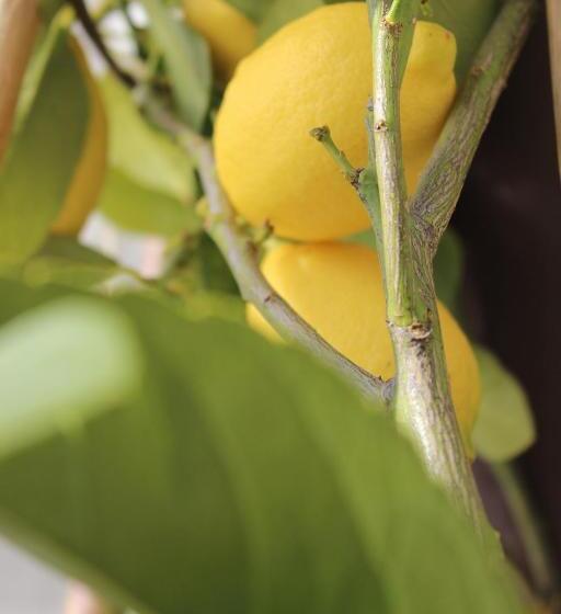 酒店 I Due Ghiri Cinque Terre  Organic Food And Wine