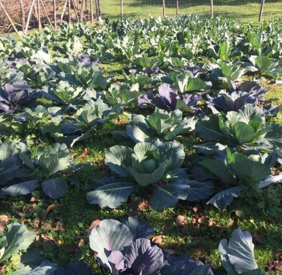 فندق I Due Ghiri Cinque Terre  Organic Food And Wine