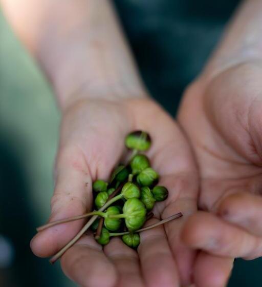 酒店 I Due Ghiri Cinque Terre  Organic Food And Wine