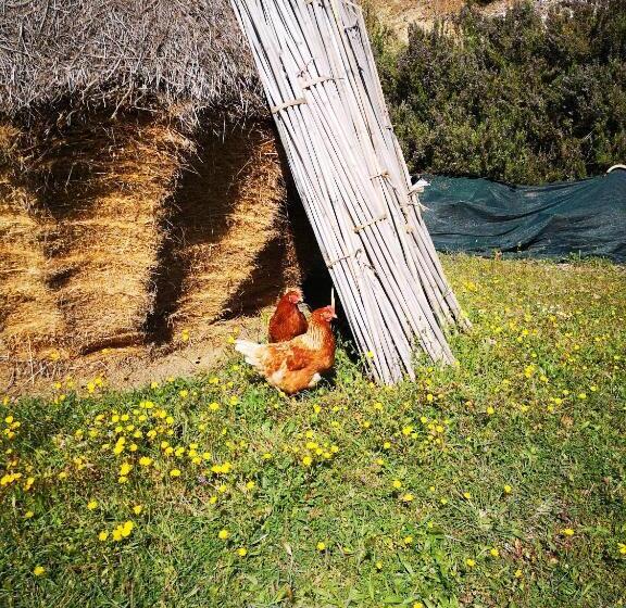 Hotel Pietra Antica Agriturismo