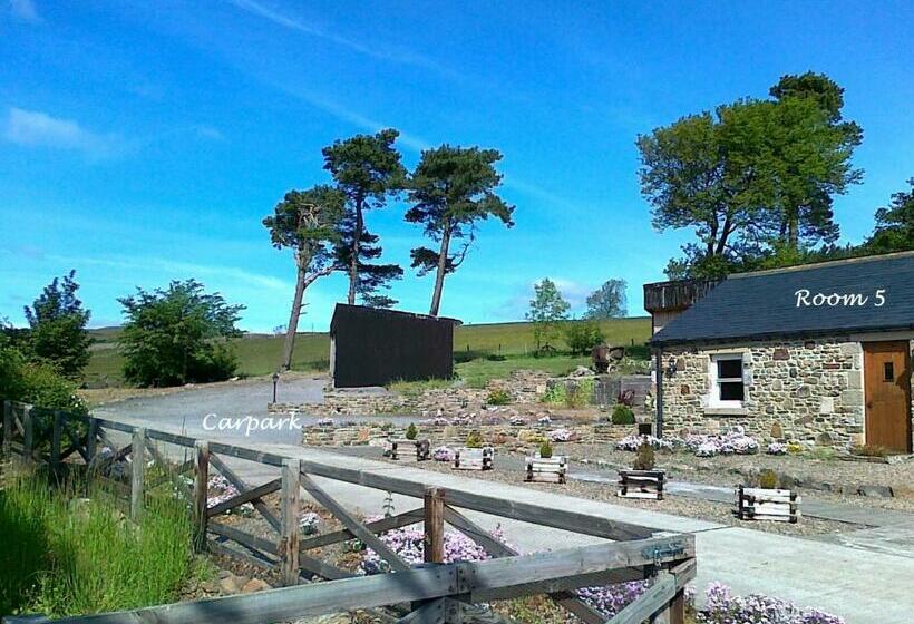 بنسيون Belle Vue Country