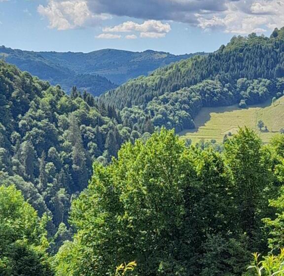 膳宿费 Casa Cu Muscate