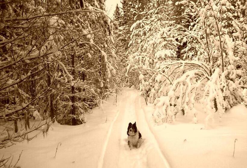 بنسيون Christinagården Guesthouse