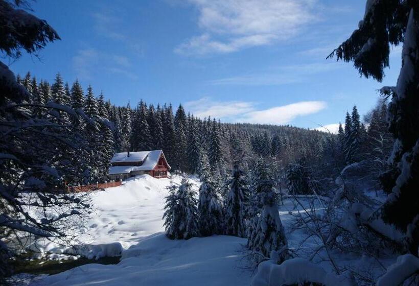 펜션 Jezírko Lesní Restaurant & Penzion