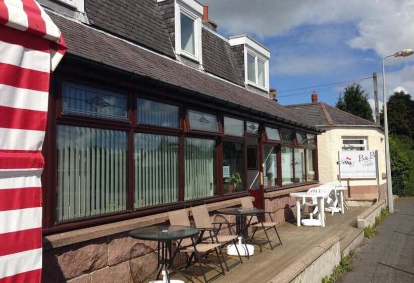 Ardenlea House Hotel B&b