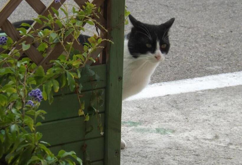 B&b Il Gatto Pescatore