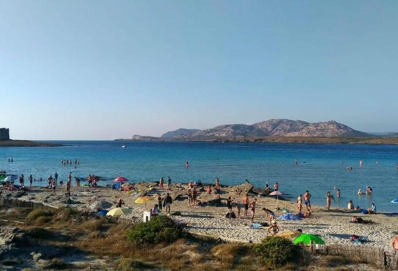 B&b Il Gatto Pescatore