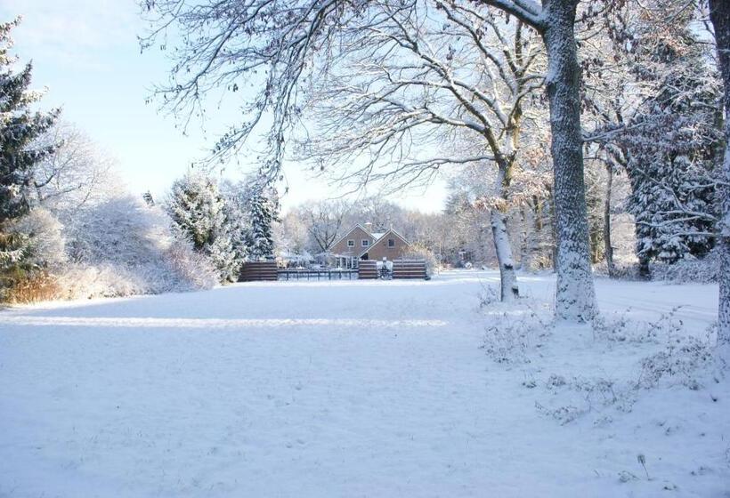 B&b Van Hunebed Naar Jullie Bed