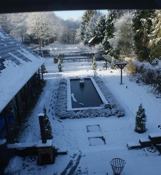 B&b Van Hunebed Naar Jullie Bed