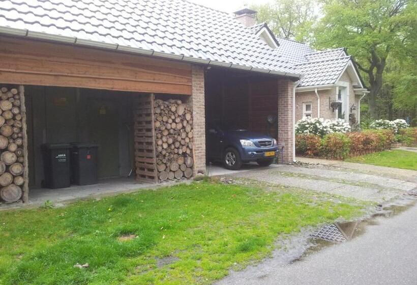 B&b Van Hunebed Naar Jullie Bed