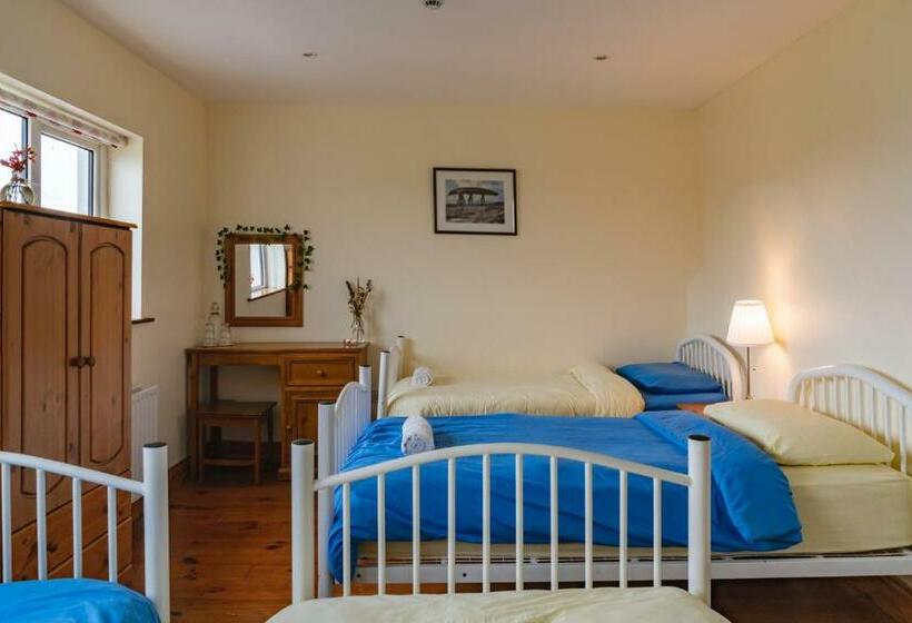 住宿加早餐  Aran Walkers Lodge