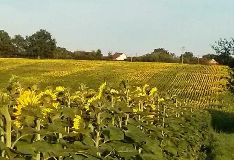 Bed and Breakfast Bauvais
