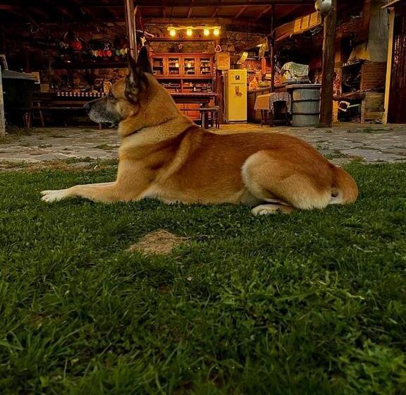 مبيت وإفطار Casa Balsamo