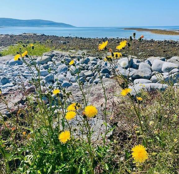 Bed and Breakfast Cedar Lodge Accommodation H91 Cf9d