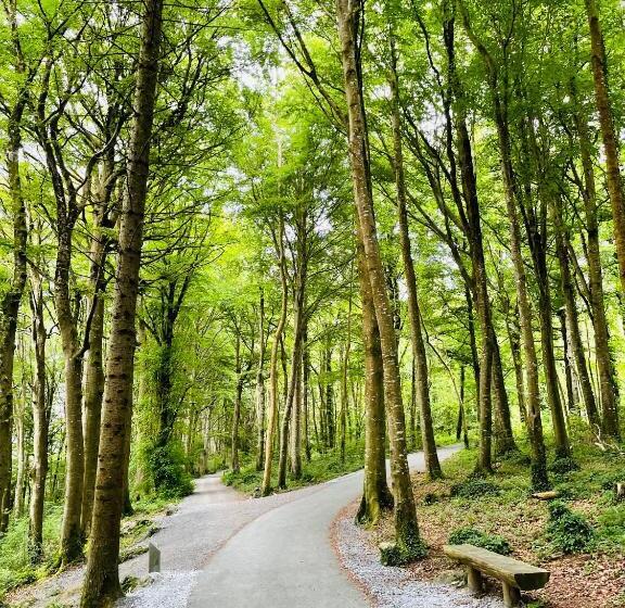 Bed and Breakfast Cedar Lodge Accommodation H91 Cf9d