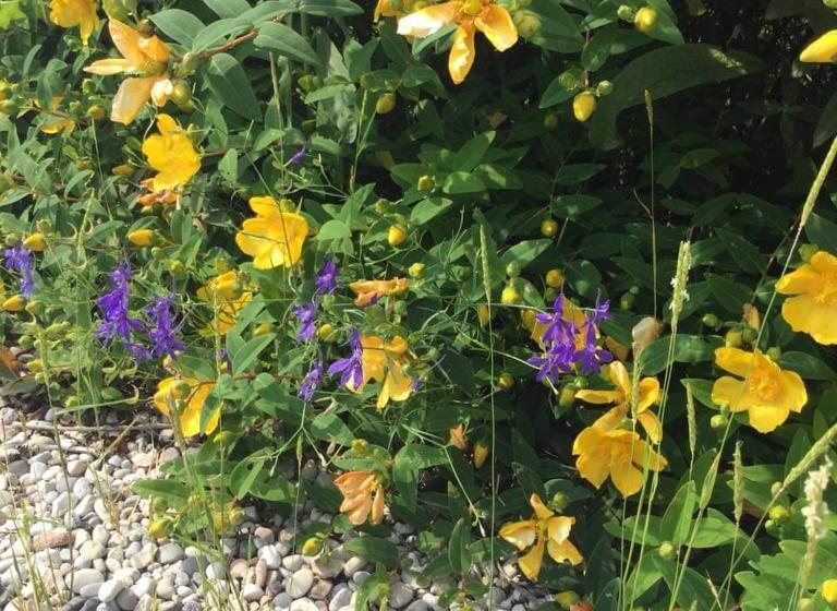 ベッドアンドブレックファースト Corte Castello