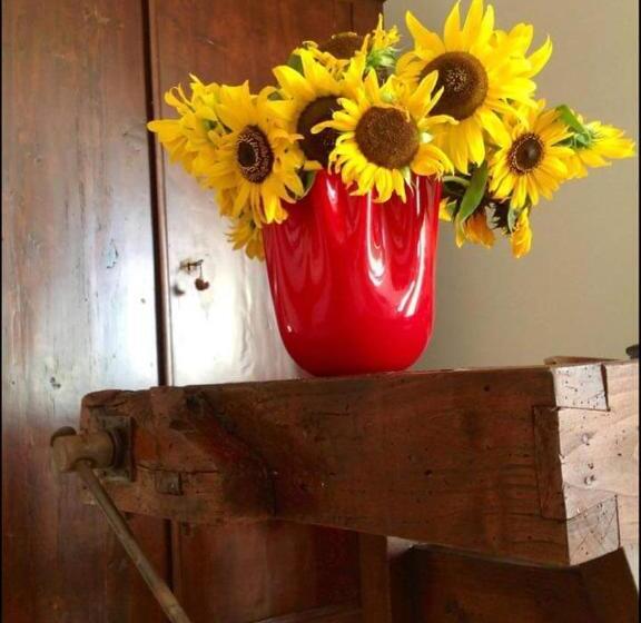 ベッドアンドブレックファースト Corte Castello