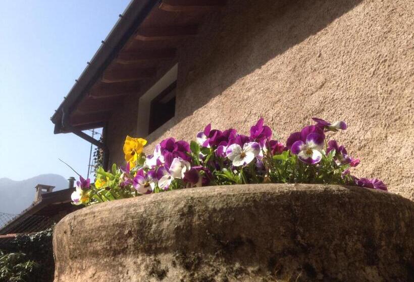 Bed and Breakfast La Tana Del Ghiro