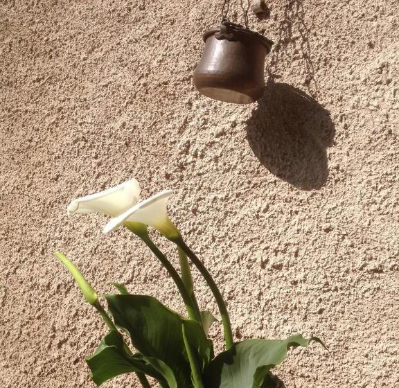 Bed and Breakfast La Tana Del Ghiro