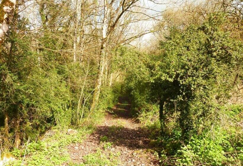 住宿加早餐  Montenaut