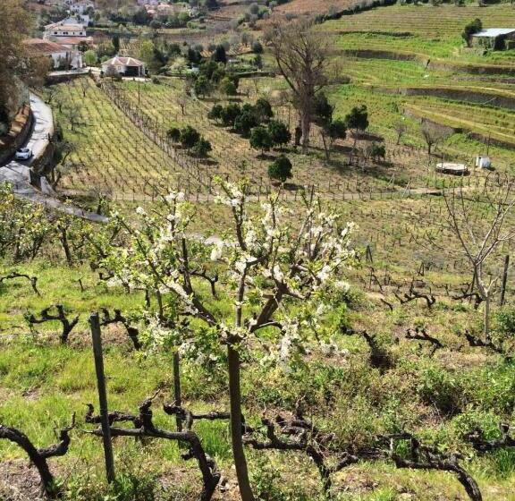 Bed and Breakfast Quinta Do Fôjo
