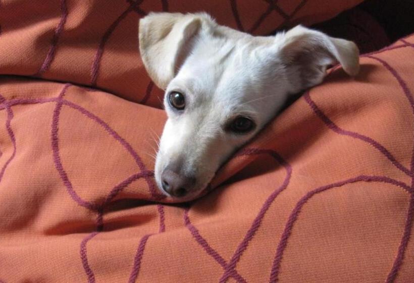 مبيت وإفطار Villa Art è