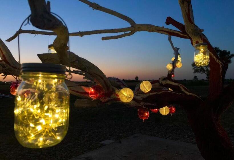 مبيت وإفطار Villa Cenzina