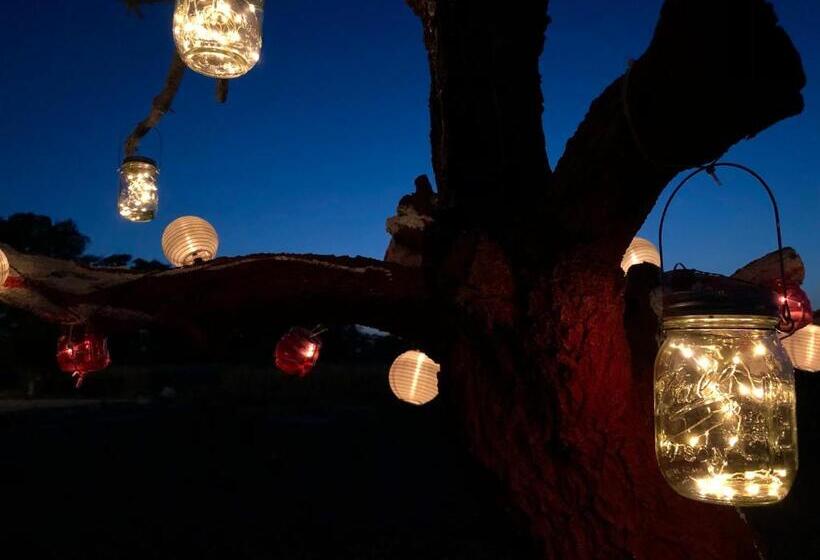 مبيت وإفطار Villa Cenzina