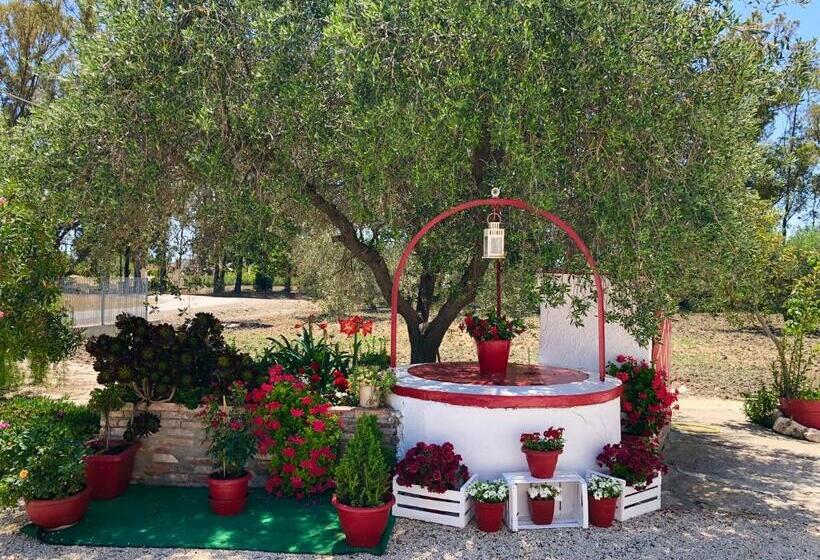 مبيت وإفطار Villa Cenzina