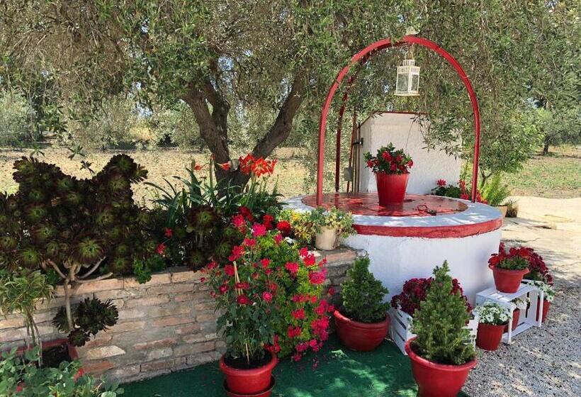 مبيت وإفطار Villa Cenzina