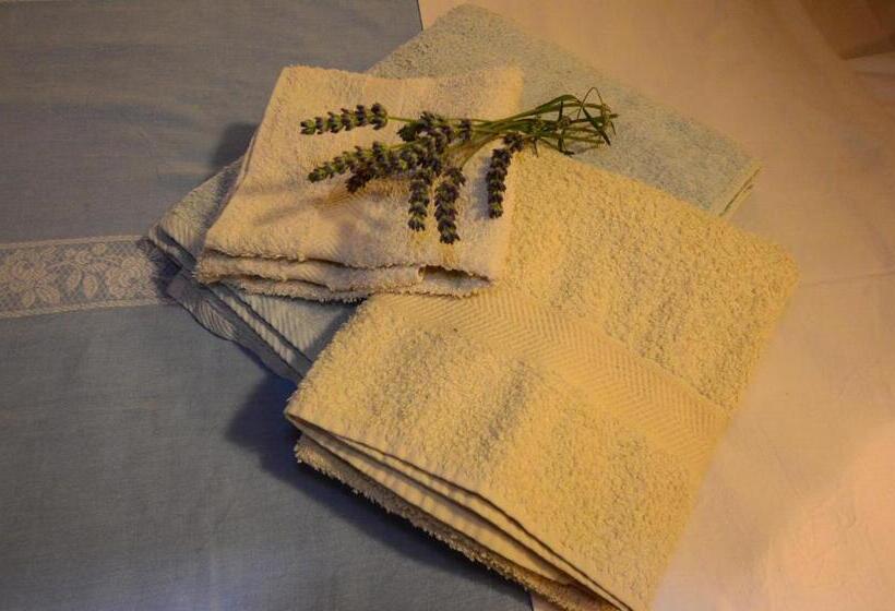 ホテル Agriturismo Agronauta