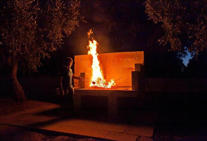 בית מלון כפרי Agriturismo La Collina Degli Ulivi