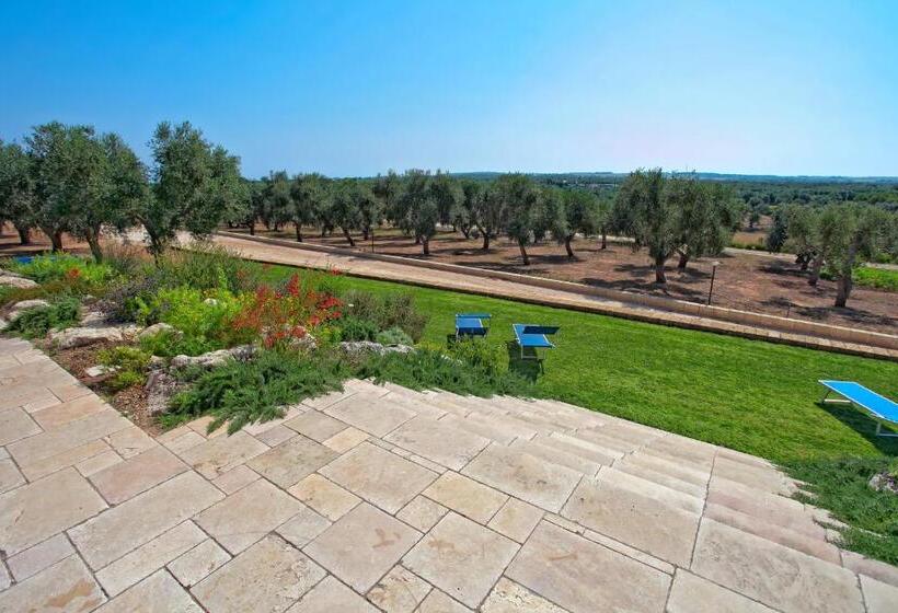 Отель Agriturismo La Collina Degli Ulivi