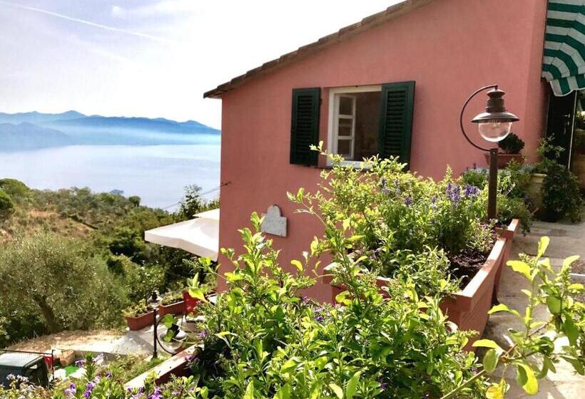 Отель Agriturismo Terre Rosse Portofino