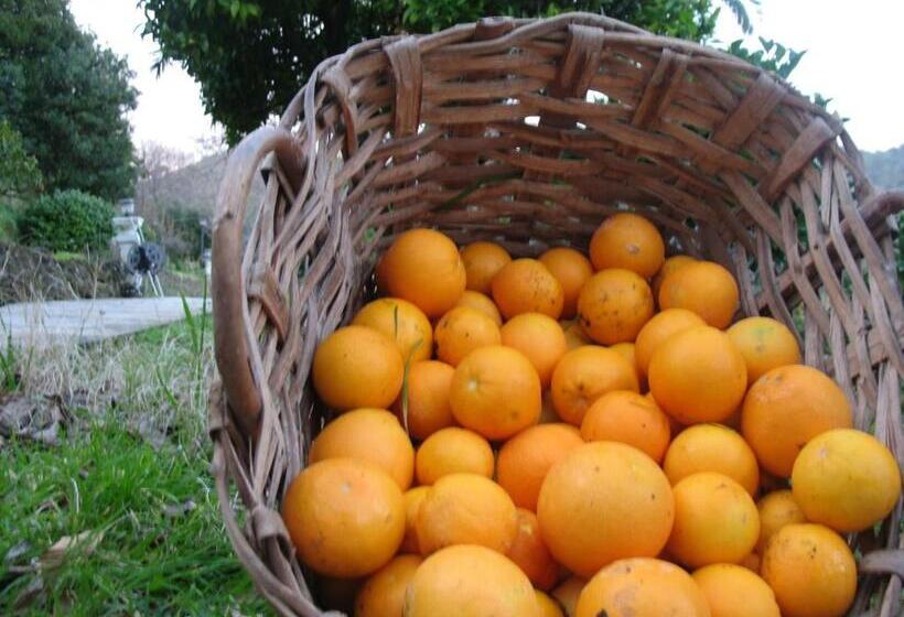 Отель Agriturismo Terre Rosse Portofino