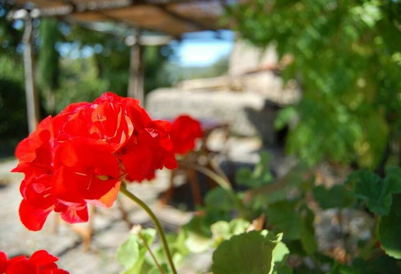 فندق Gabellino Di Sotto