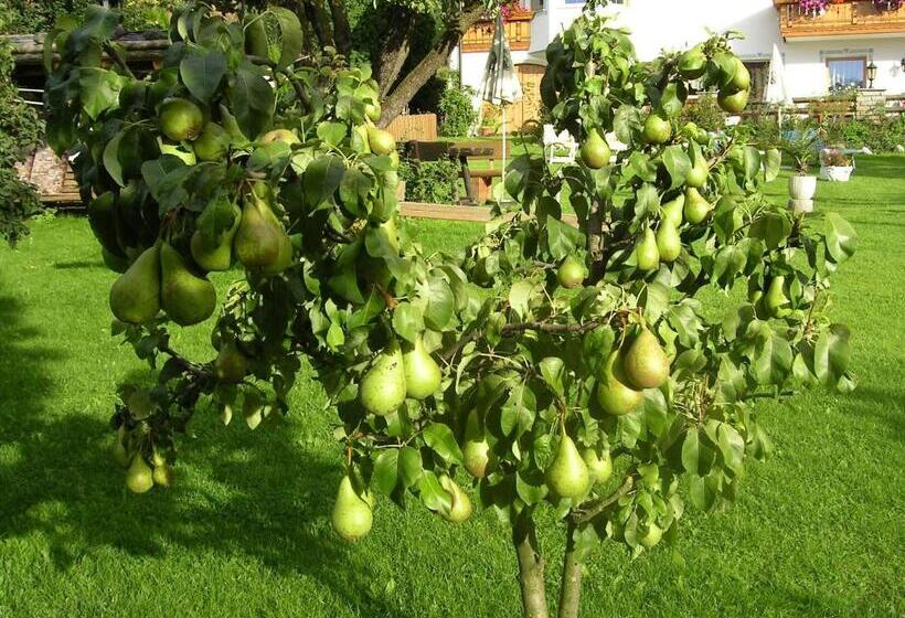 فندق Mair Am Hof