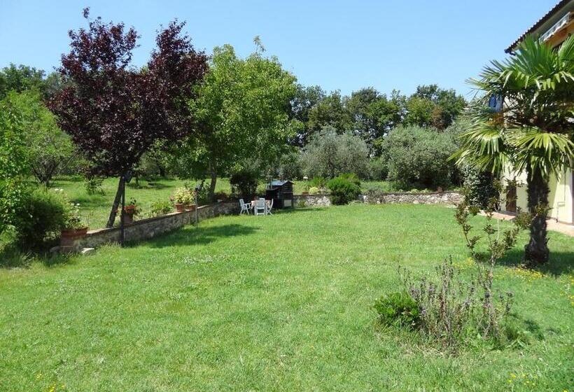 La Casa Nell Oliveto Bed & Breakfast