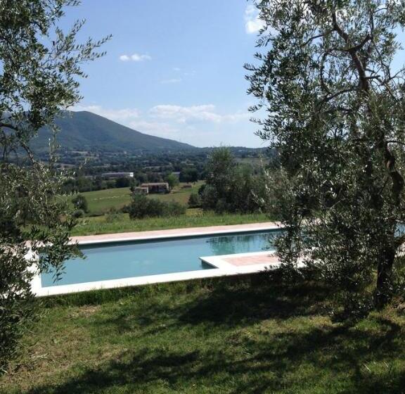 La Casa Nell Oliveto Bed & Breakfast