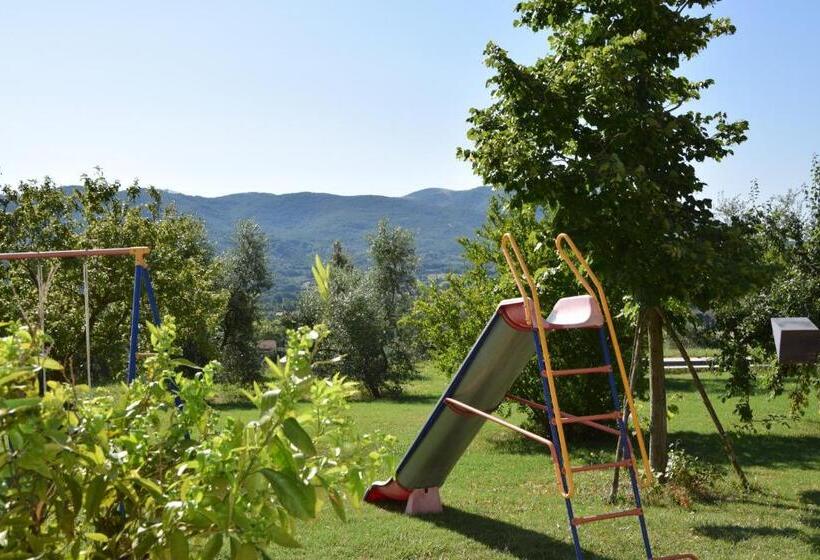 La Casa Nell Oliveto Bed & Breakfast