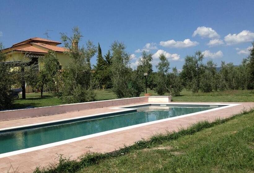 La Casa Nell Oliveto Bed & Breakfast