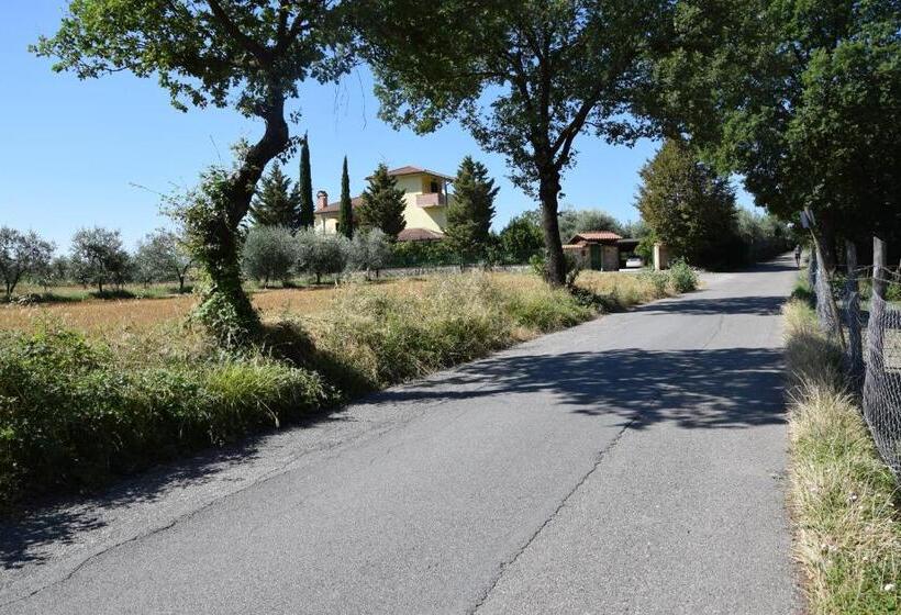 La Casa Nell Oliveto Bed & Breakfast