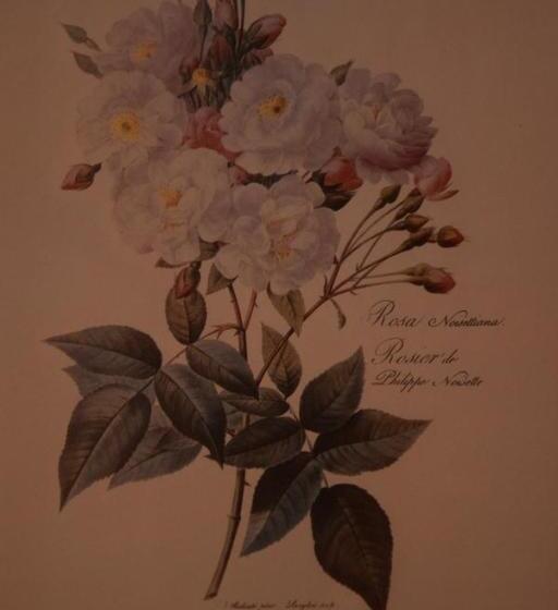 La Casa Nell Oliveto Bed & Breakfast