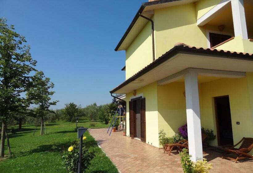 La Casa Nell Oliveto Bed & Breakfast