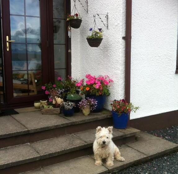 Mo Dhachaidh B&b