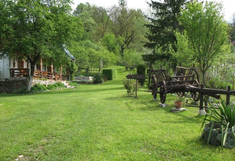 펜션 Casa Rustica Oltenia