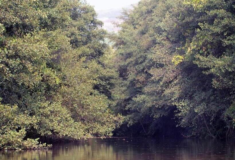 ペンション Casas De Alvite