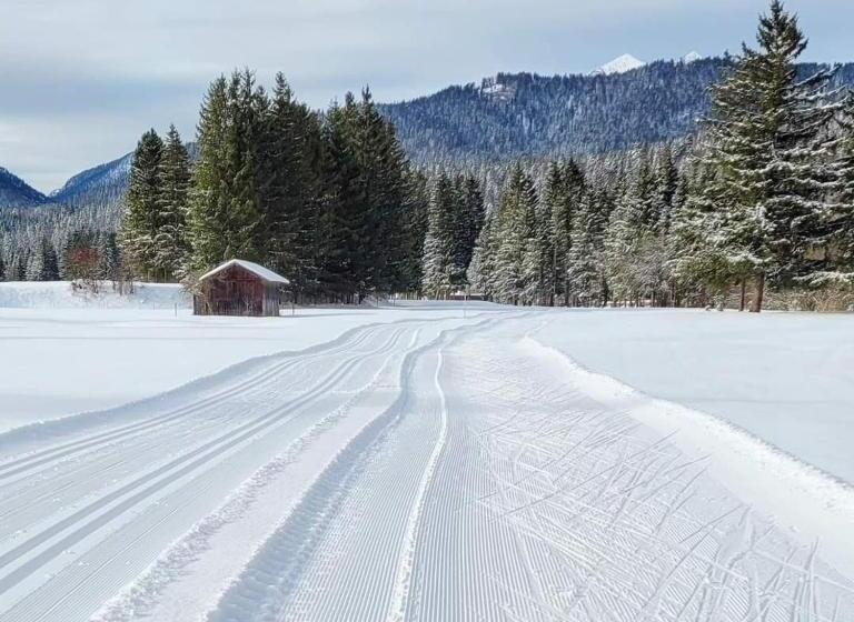 Пансион Gästehaus Zunterer