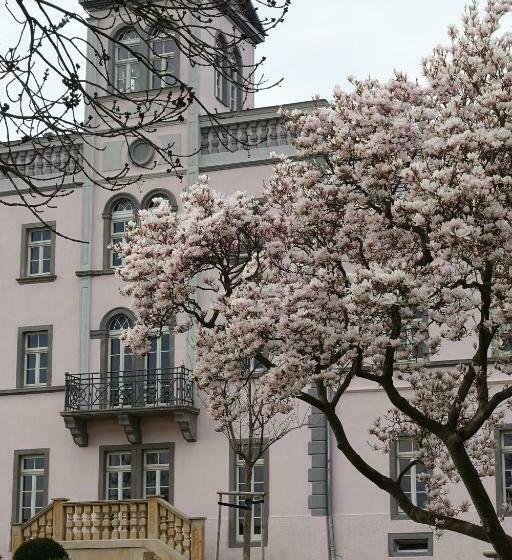 膳宿费 Rittergut Rottewitz